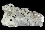 Agatized Fossil Coral Geode - Florida #105324-2